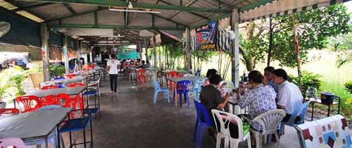สุรชัยปลาเผา บึงไผ่แขก 