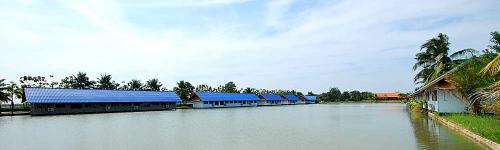 วิถีไทยรีสอร์ท 