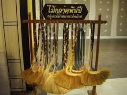 ไม้กวาดพันปี บางแม่หม้าย สุพรรณบุรี